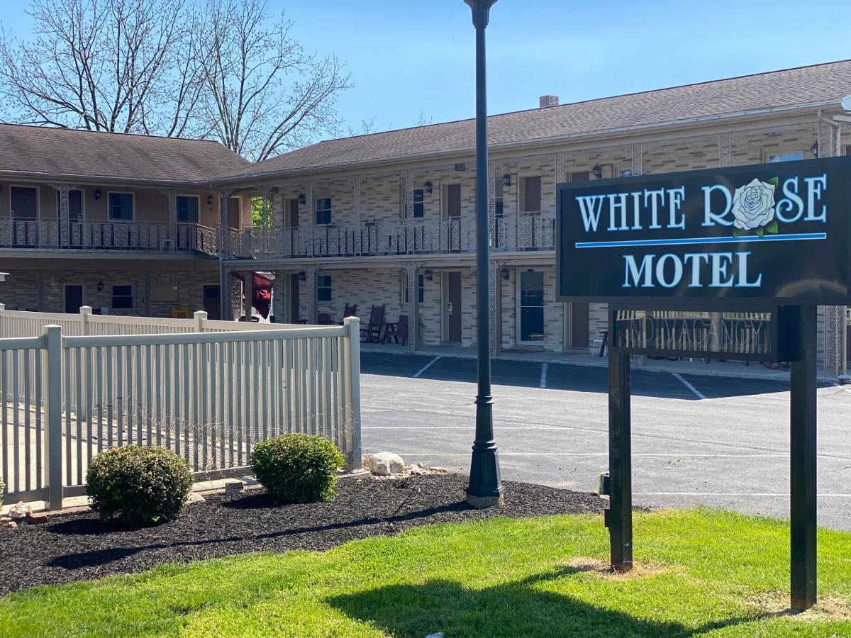 Motel White Rose -